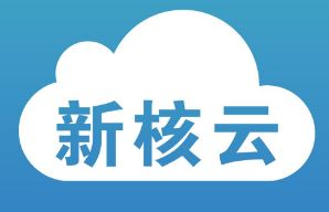 新核云完成300萬美元A輪融資，加速工廠ERP系統與互聯網服務升級