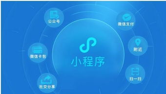 小程序?yàn)槭裁礇]有想象的火爆 原來背后意義深遠(yuǎn)